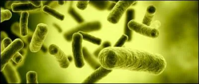 Qui a écrit "La Peste" ?