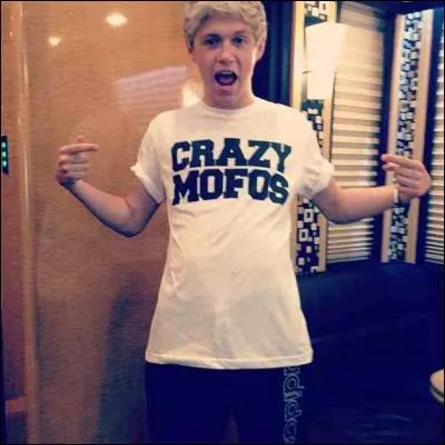En quelle année Niall a-t-il surnommé ses fans les "Crazymofos" ?