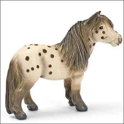 Comment se nomme la race la plus petite au monde ?