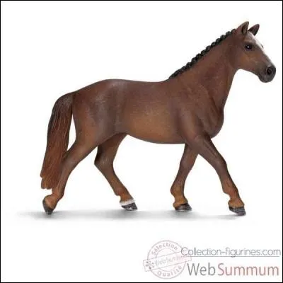 Laquelle de ces races est la mieux orthographiée ?