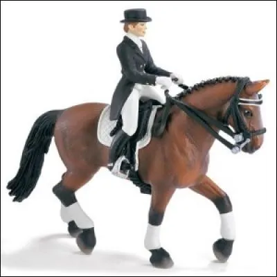 Quelle discipline pratiquent-ils ?