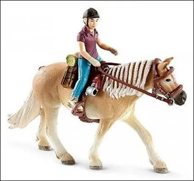 Regarde la photo et dis-moi ce qu'ils sont en train de faire.