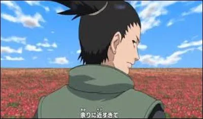 Comment se nomme le quatrième opening ?