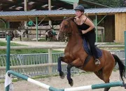 Quiz Le saut d'obstacles