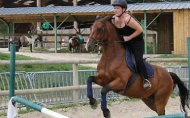 Quiz Chevaux