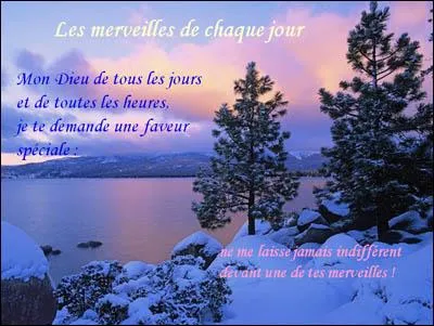 "_____" la dernière question de ce quiz.