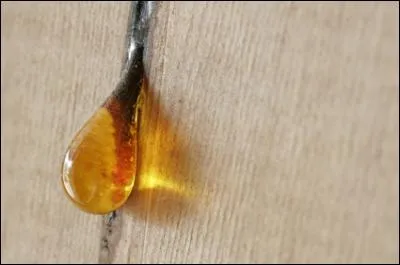 La "______" coule des arbres.