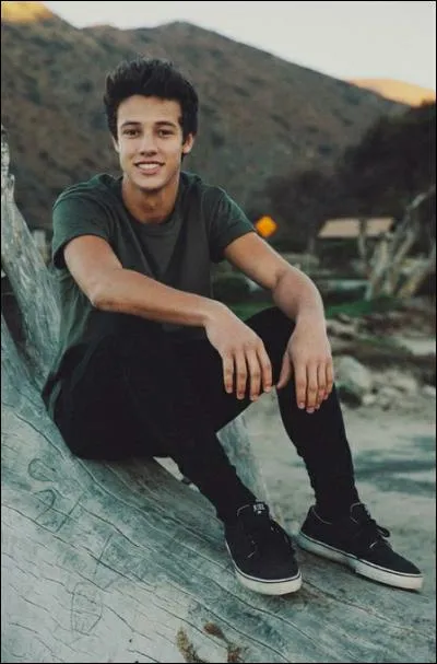 Combien a-t-il d'abonnés sur YouTube ? (2016)