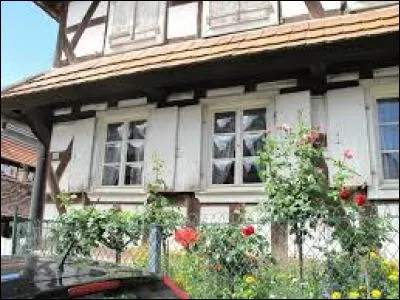 Dans certains villages du nord de l'Alsace, les fenêtres des maisons présentent une particularité. Laquelle ?