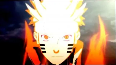 Que veut dire kyubi ?