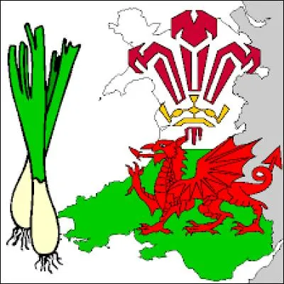 Retrouvez la proposition correspondant à la maladie évoquée ci-contre :