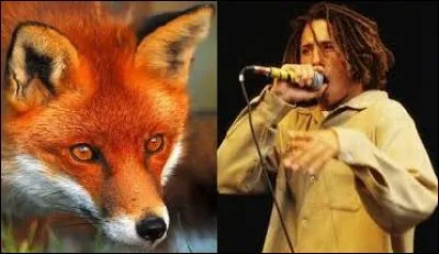 Retrouvez la proposition correspondant à la maladie évoquée ci-contre :