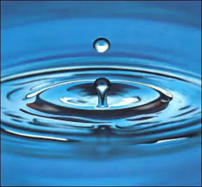 Quelle description correspond à la maladie chronique évoquée ci-contre ?