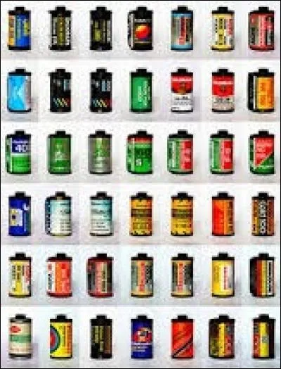 Quelle partie du corps est concernée par cette affection inoffensive aux causes multiples ?