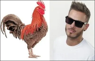 Elles sont toutes folles de lui (celui de droite) !