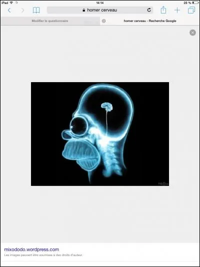 Quel est le QI d'Homer ?