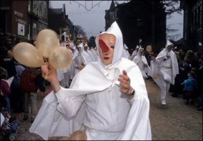 Munis de longs nez rouges et vêtus de capes blanches, ces irrévérencieux personnages sont emblématiques du carnaval de Stavelot Quel est leur nom ?