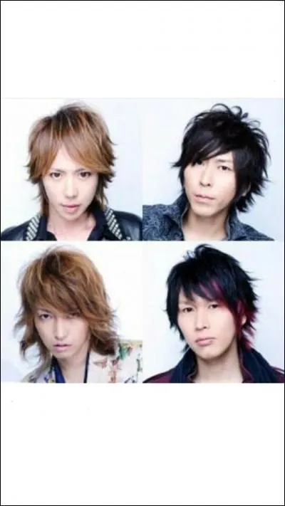 Qui est le plus fou des 4 membres ?