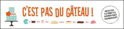 Qui a chanté "La vie c'est pas du gâteau, on fera pas de vieux os, on fera pas d'marmots..." ?