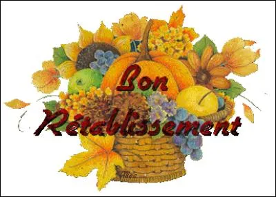 Avec qui Serge Lama a-t-il collaboré pour composer la chanson "Je suis malade" ?