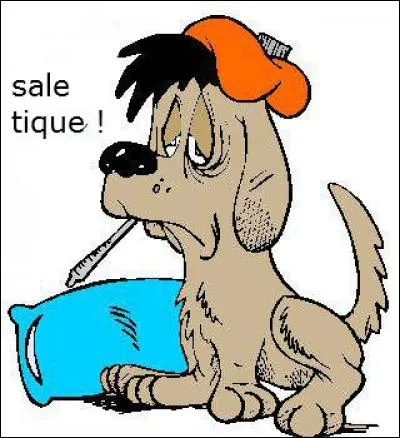 Le voilà malade comme un chien ! Que peut-il bien avoir ?
