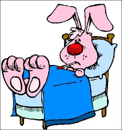 Mais tu as l'air malade mon pauvre lapin !