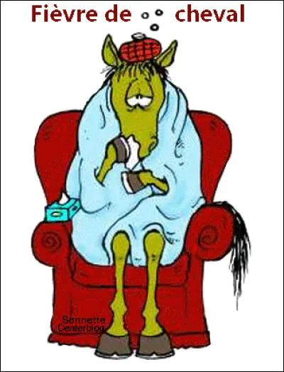 Le voilà avec une fièvre de cheval ! Quelle maladie a-t-il pu attraper ?