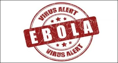 Que provoque le virus Ebola ?