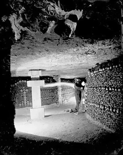 Après tout ce travail Nadar sentira le besoin de changer d'air et se tournera vers le monde des...