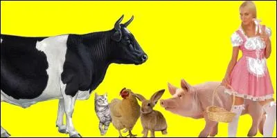 Si je vous dis que je transmets la syphilis. Pouvez-vous me trouver sur l'image ?