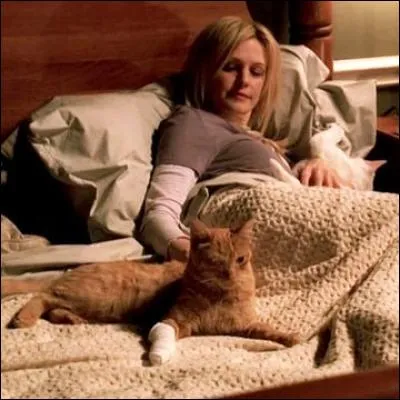 Quels sont les animaux de compagnies de Lilly Rush ?