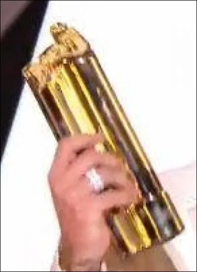 Question autour du spectacle : Quelle est la chanson qui est élue chanson francophone de l'année 2009 et dont l'interprète est élu révélation de l'année ?