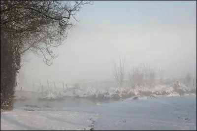 Quel écrivain est l'auteur du poème "La neige à travers la brume" qui débute ainsi : "La neige à travers la brume Tombe et tapisse sans bruit Le chemin creux qui conduit à l'église où l'on allume Pour la messe de minuit " ?