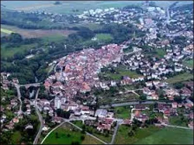 Pendant l'invasion des Romains, plusieurs villes suisses ont eu un nom romain.
En passant par Orbe, les Romains lui ont donner un nom. Le quel ?