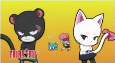 Comment s'appelle le chat noir ?