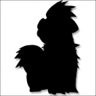 Quel est ce Pokémon ?