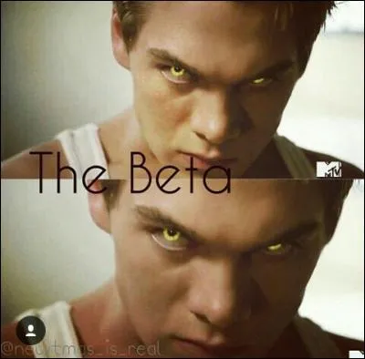 Qui est le plus fort ?