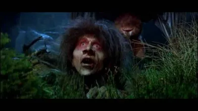 De quel(le) célèbre film/saga d'Heroic Fantasy provient ce plan ?