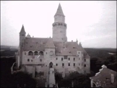 De quel(le) célèbre film/saga mêlant l'Heroic Fantasy et la Romantic Fantasy provient ce plan ?