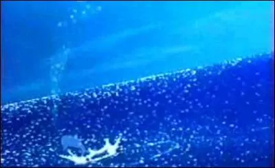 De quel film d'animation, adaptant un célèbre conte danois, est tiré ce plan ?