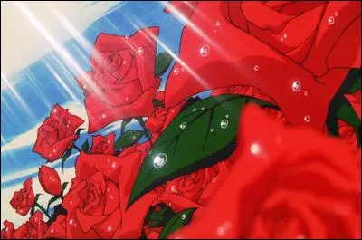 De quel Shojo/Magical Girl est tiré ce plan ?