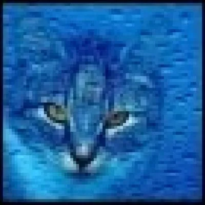 Je vais passer mon TPE bientôt, notre problématique est : pourquoi aime-t-on la barbe-à-papa ? Merci à tous ceux qui ont rempli mon questionnaire en ligne (121 personnes). Sommes-nous forcés de faire des expériences pour le TPE ?