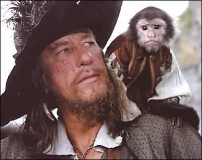 Comment s'appelle le petit singe perché sur l'épaule d'Hector Barbossa ?