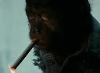 Un singe dealer qui fume et qui se drogue ! 
Quel est le vrai nom de ce capucin femelle qui joue dans "Very Bad Trip" ?
