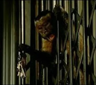 Dans cet autre film, elle vole le trousseau de clés du gardien...
Comment se fait-elle appeler dans "La nuit au musée" ?