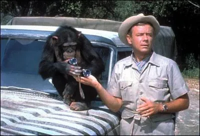 Dans quelle ancienne série pouvait-on voir la guenon Judy ?