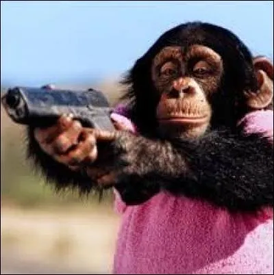 Et enfin, qui a joué aux côtés de Jacques Villeret et Eric Cantona ?