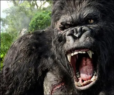 Combien d'années d'écart y a-t-il entre le premier film sur King Kong sorti en 1933 et la version de Peter Jackson ?