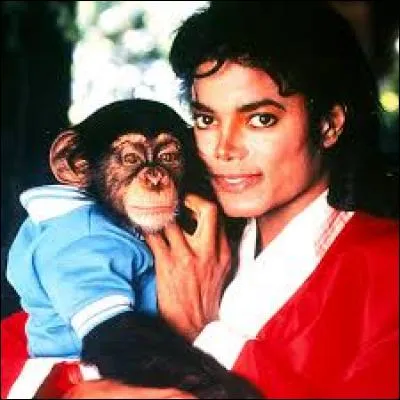 Quel est le prénom du singe adopté par Michael Jackson en 1983 ?