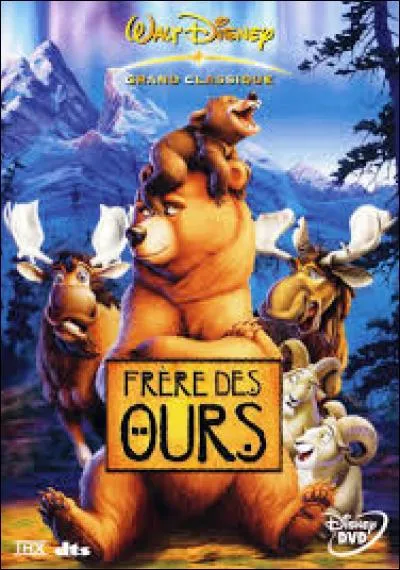En quelle année le film "Frère des ours" est-il sorti en DVD en France ?